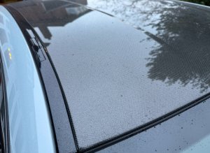 IMG_6881.jpeg