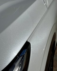 IMG_8248.jpeg