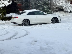 IMG_2532.jpeg