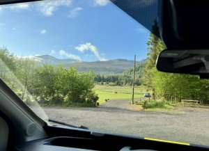 IMG_2598.jpeg
